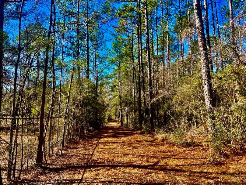 E18EE92D-72BF-400C-A75A-EDDD573E3B91_1_201_a