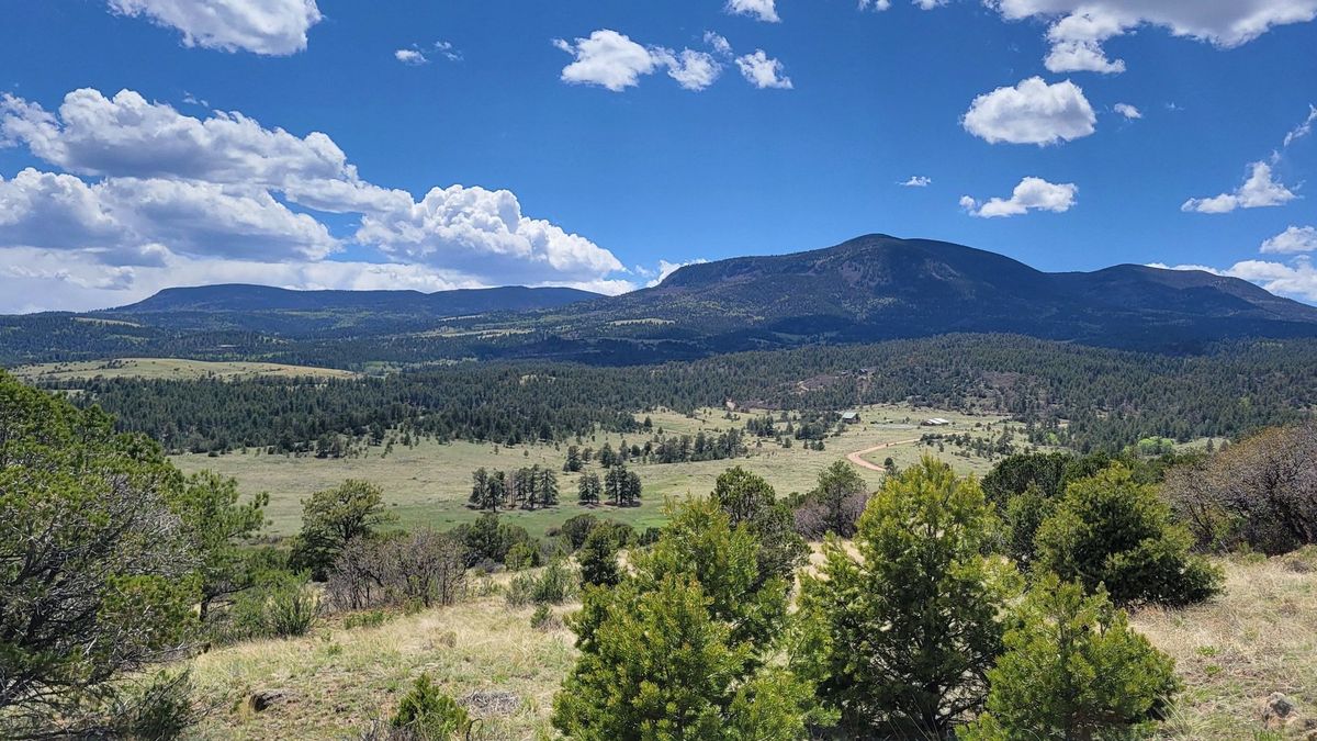 Stunning Lot In Autumn Creek Ranch With YearRound Creek Whitetail