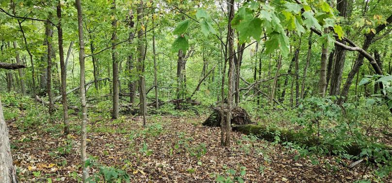 375199767_830398018740235_7034808573308843324_n