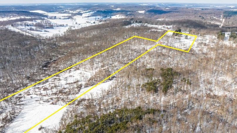 10-z 18408 Brushy005-Edit