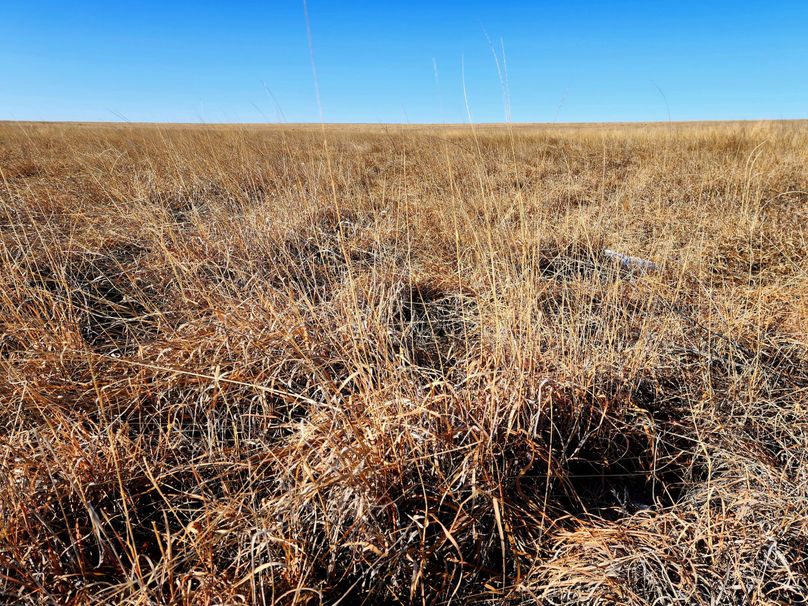 Copy of 20230208_090649