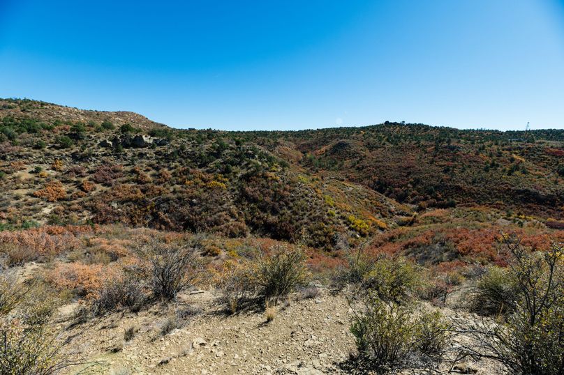 Building Or Recreational Tract Next To BLM In Primero Ranch Whitetail