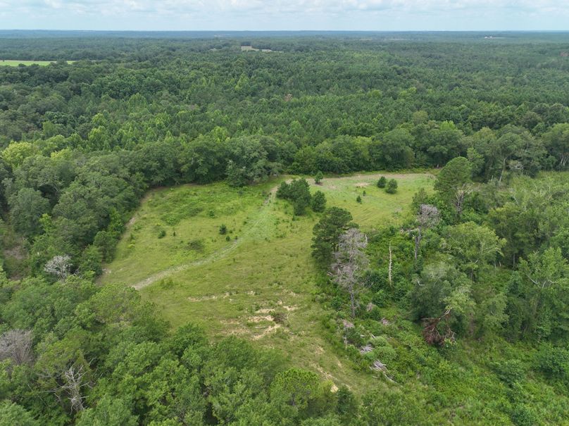 dji_fly_20230803_122128_474_1691080623848_photo