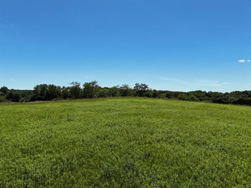 DJI_20240630151246_0012_D