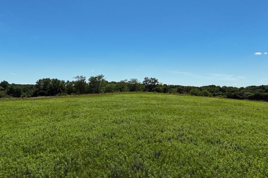 DJI_20240630151246_0012_D