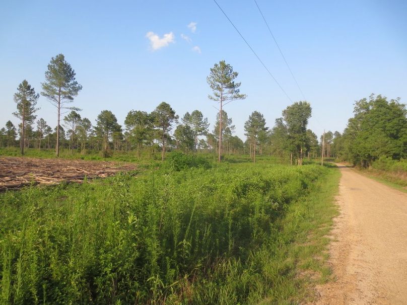 FFCDBBA1-60AA-4868-BABC-62BA03C52CA1_1_105_c