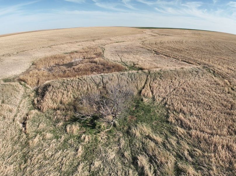 DJI_0396