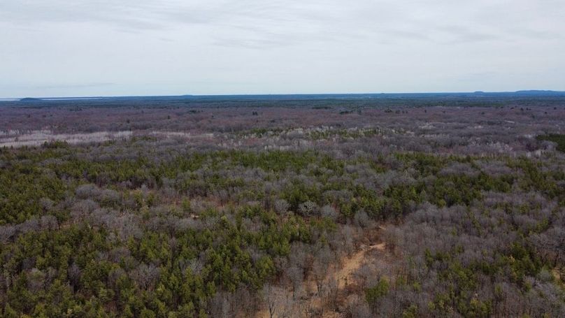 dji_fly_20250404_125930_736_1744067525229_photo_optimized 2