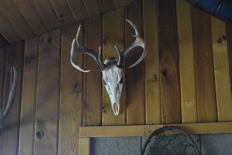22(1)