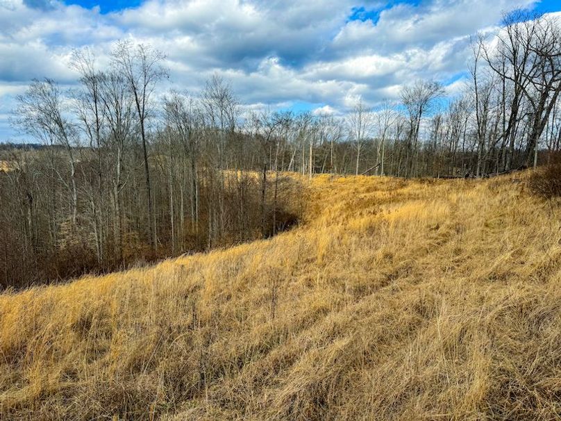 Doddridge, WV 79.08 AC Adams-52