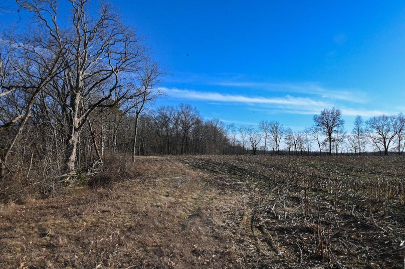 vandalia 450 (2)-2219