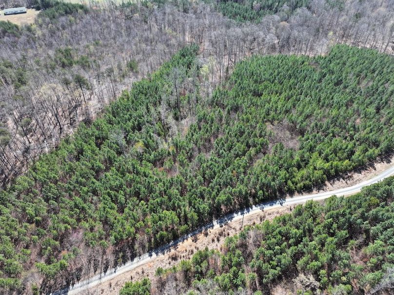 dji_fly_20260325_115408_0643_1774539308898_photo