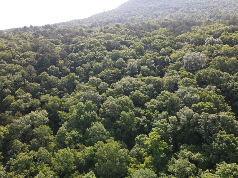 dji_fly_20230525_093816_152_1685025538180_photo