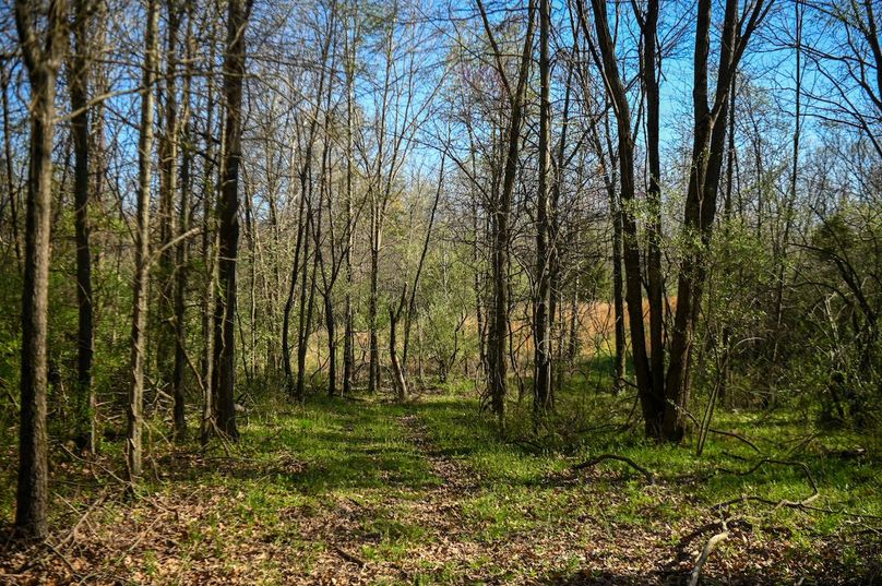 vandalia 450 (2)-2474