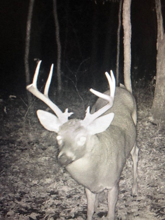 59486984565__BBF83FF9-4D24-4B57-9425-DD1FA7004ACE