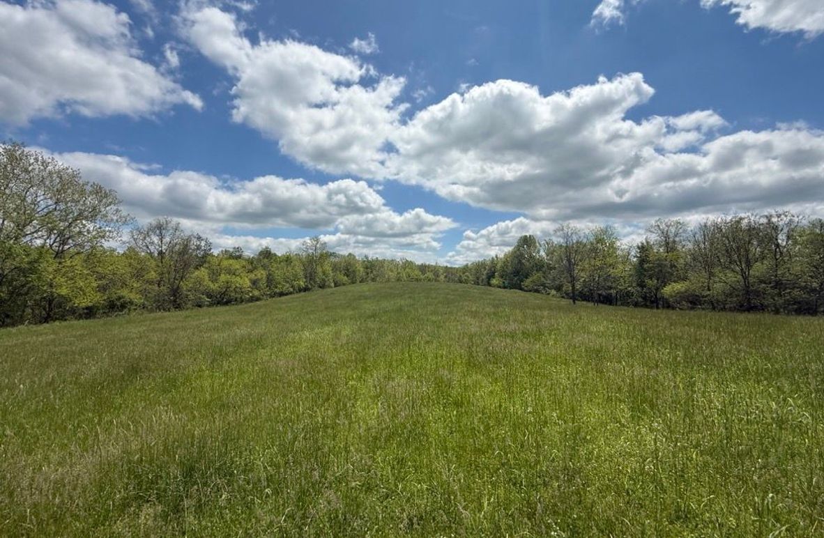 005 beautiful area for a home in the center of the property