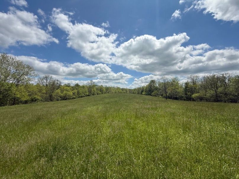 005 beautiful area for a home in the center of the property