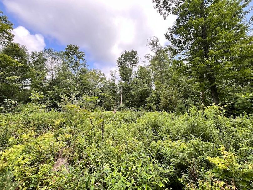 Oswego_133.72_Middleton_Photos_29