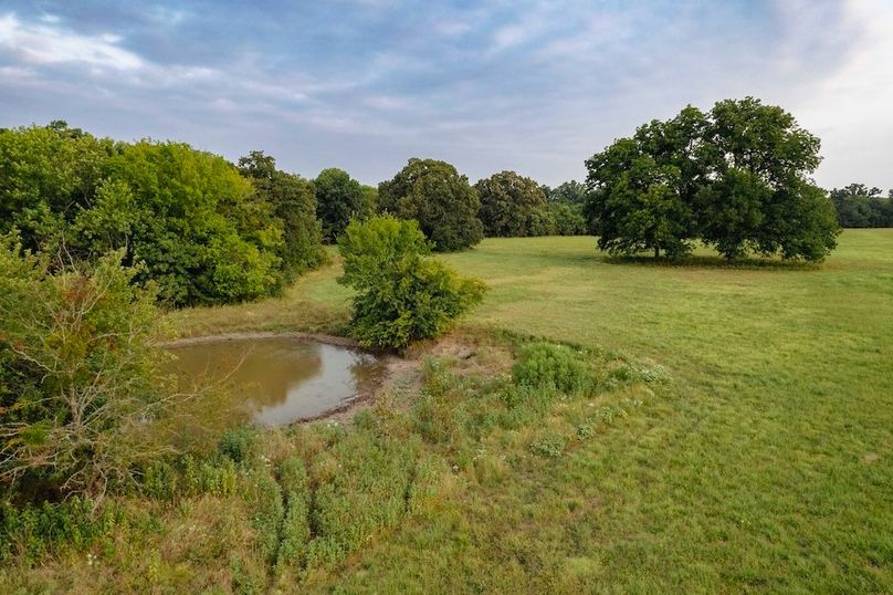 Lamar County TX 112-19