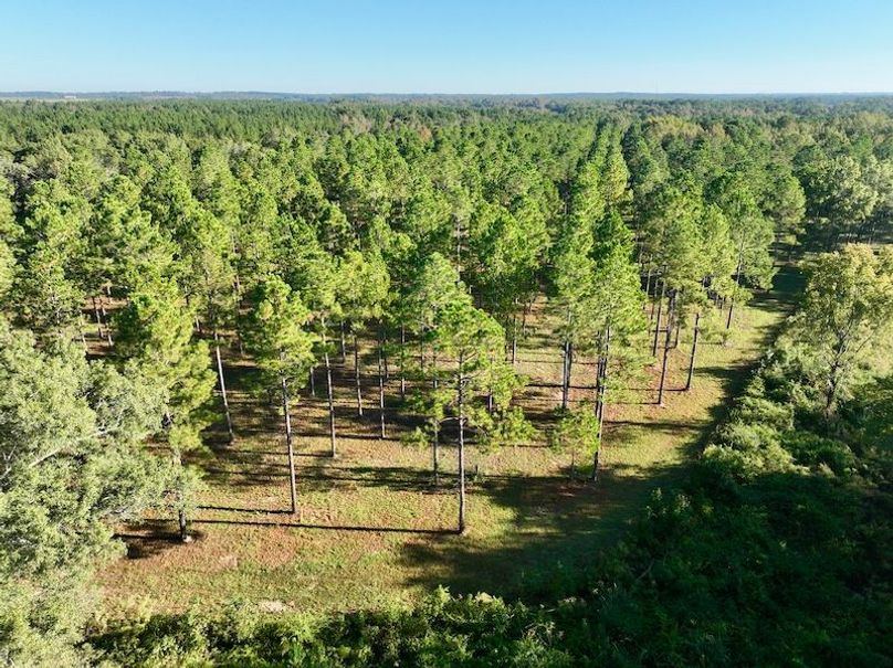 dji_fly_20251013_092420_250_1760364569688_photo