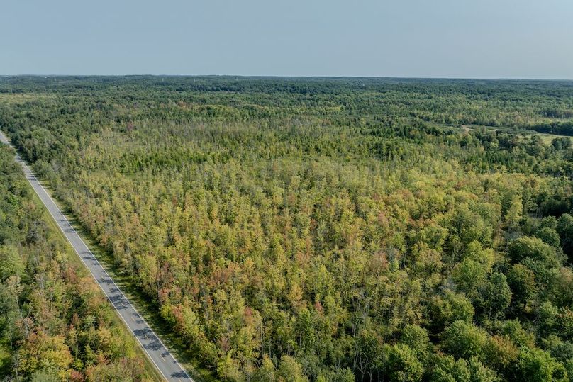 dji_fly_20240824_104400_171_1725553240112_photo 3