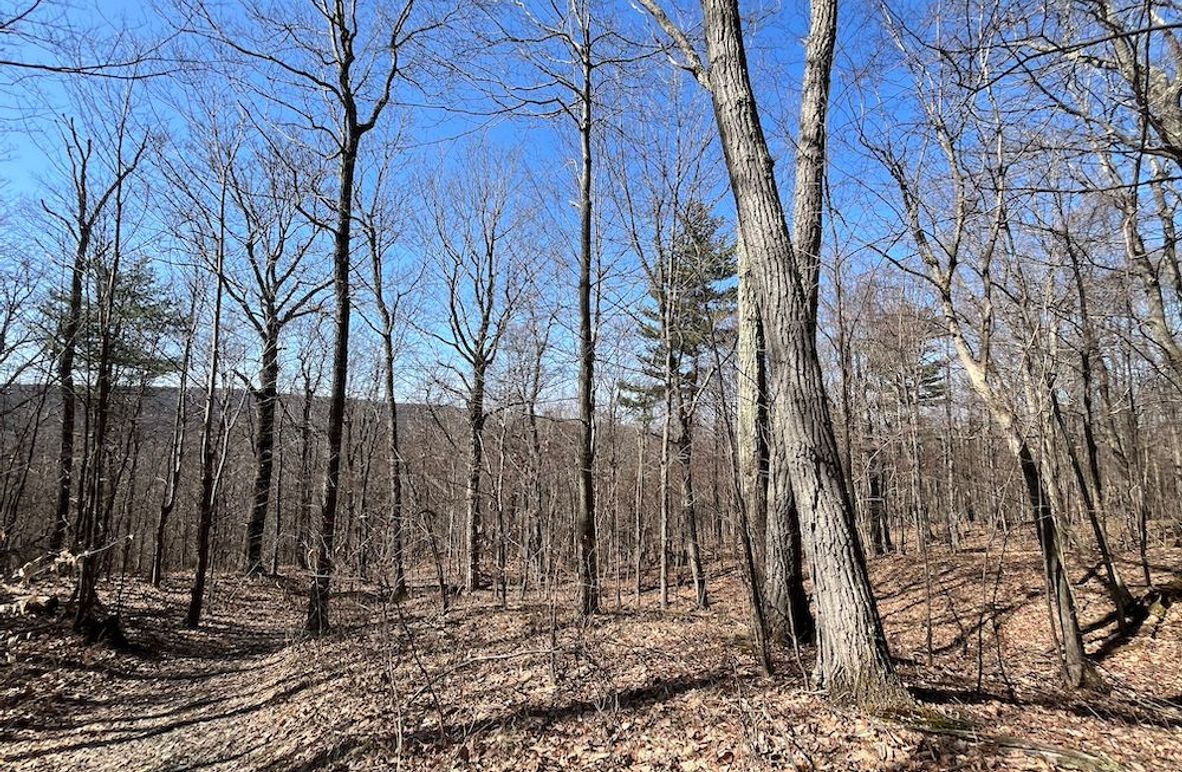 Ontario_9.6_Powell Photo 6