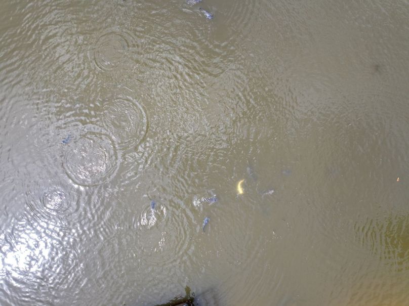 DJI_20250915125720_0647_D