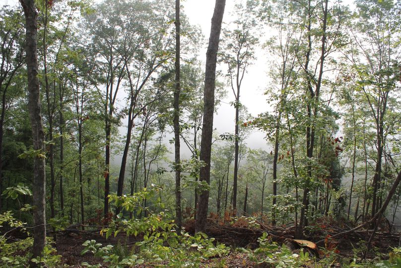 016 ridgetop view across the foggy valley