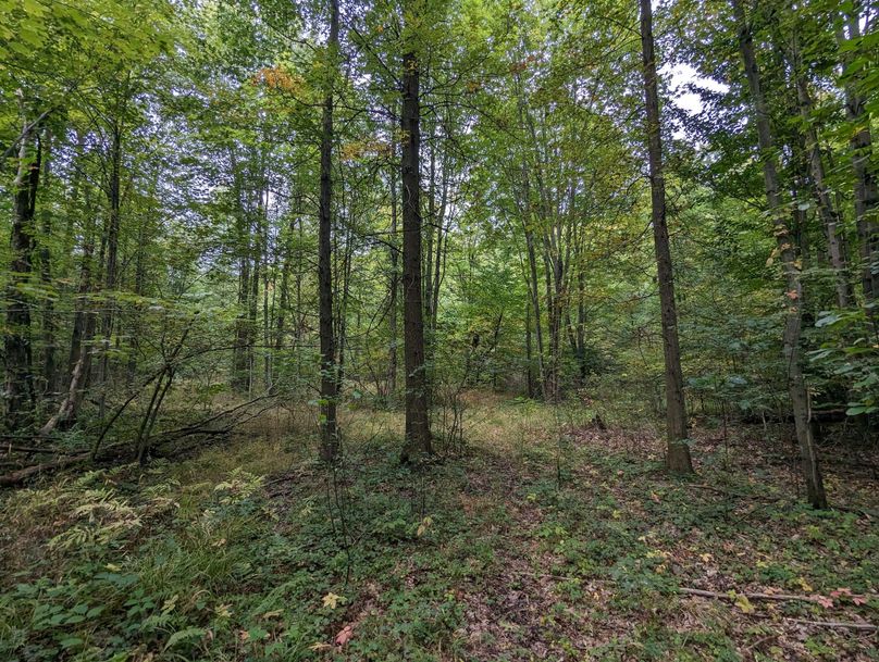 PXL_20230925_223638184