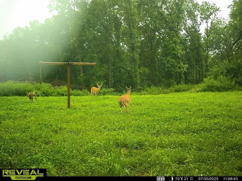 860322063799487-100-4-07302025110900-W1035810