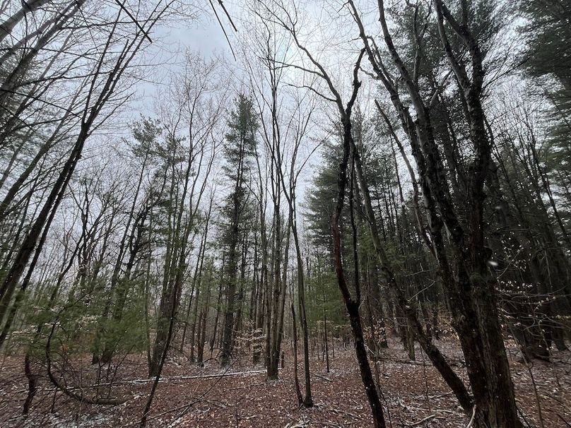 Chemung_17.45_Delsey Photo 22