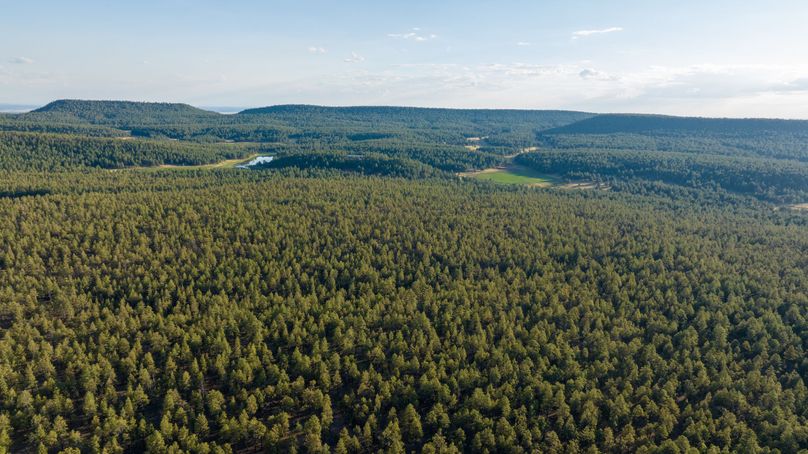 Cibola NM 13,053-0145