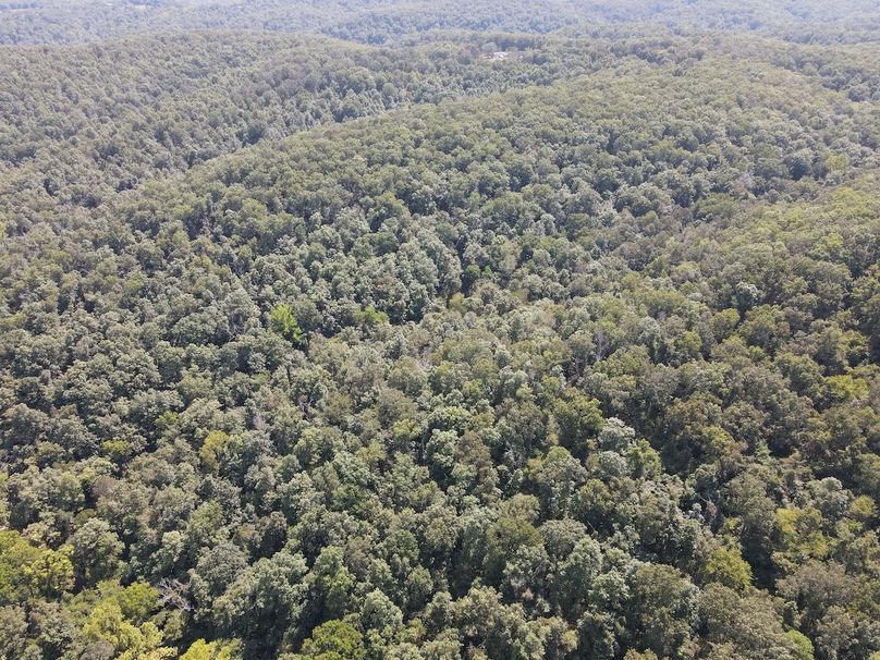 dji_fly_20250818_150658_660_1755547665107_photo