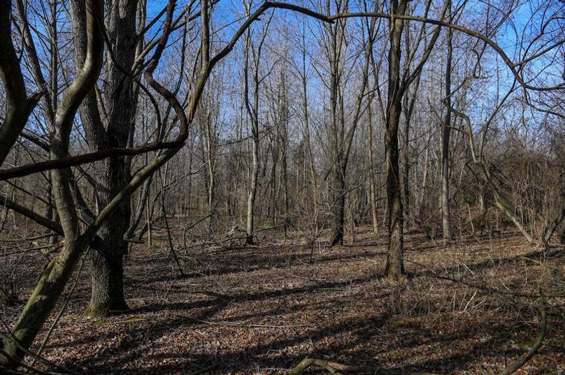 vandalia 450 (2)-1720