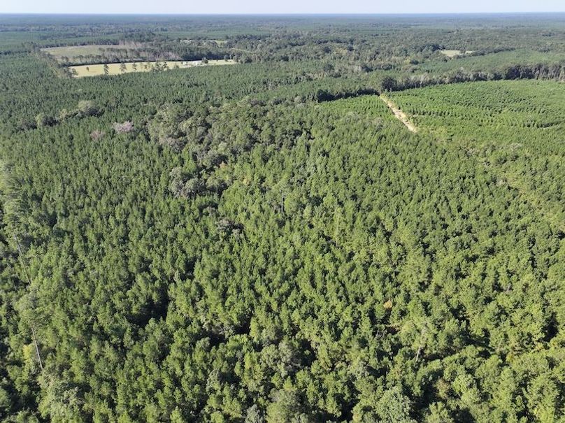 dji_fly_20250908_094008_0420_1757354102270_photo