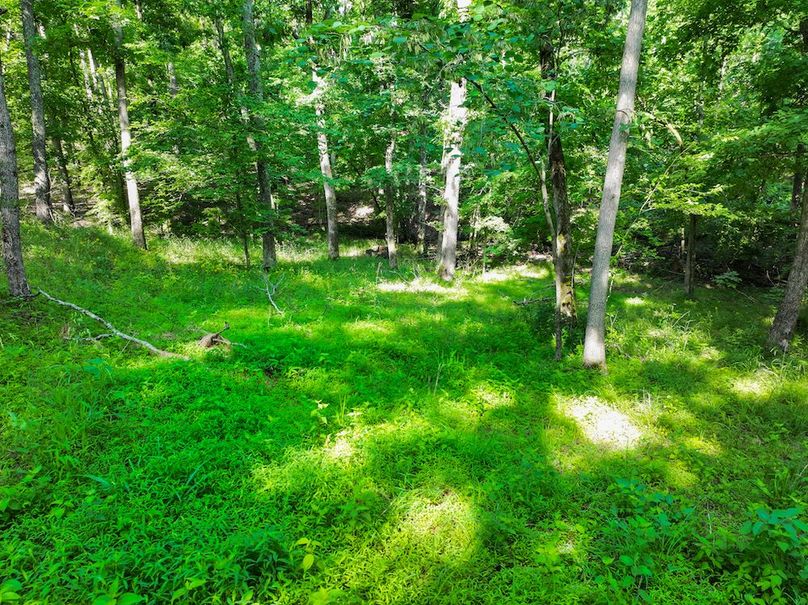 DJI_20260602085818_0264_D
