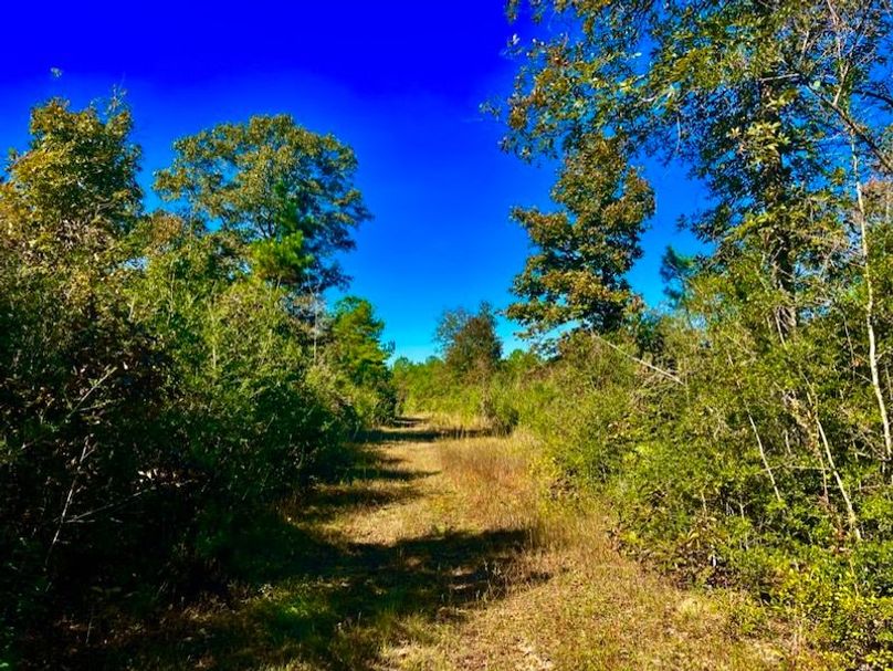 31DC0753-8FBF-4EB3-80E9-B9E75BFFB9B3_1_105_c