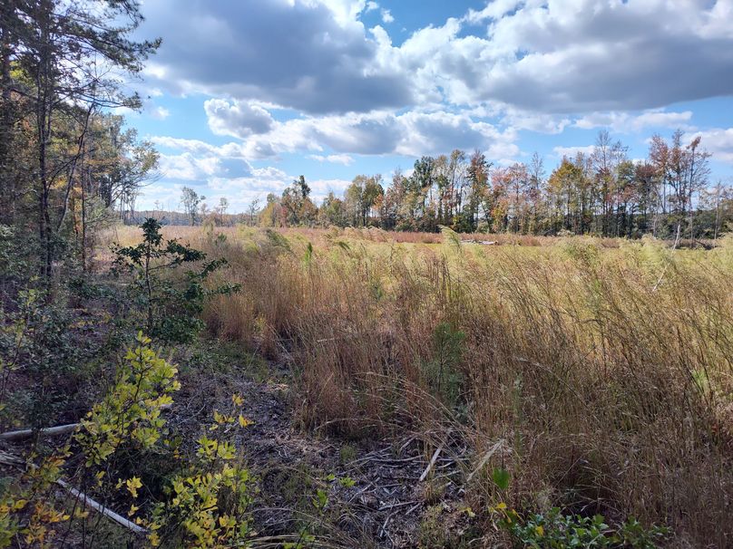 IMG_20231022_133702811_HDR