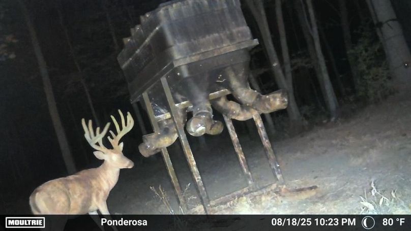 Temp_786626-20250819035328-102MFCAM_MFDC7415