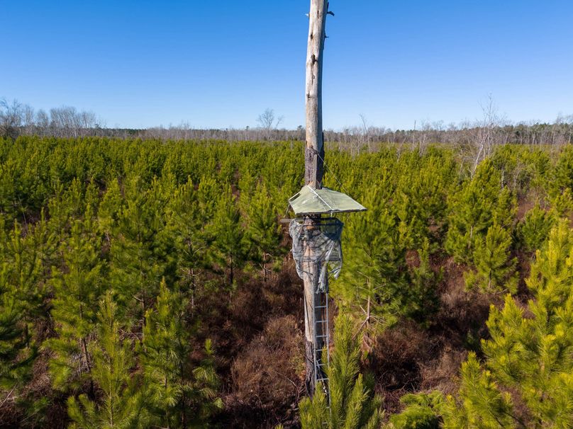 Pender NC 382 - Edits-14