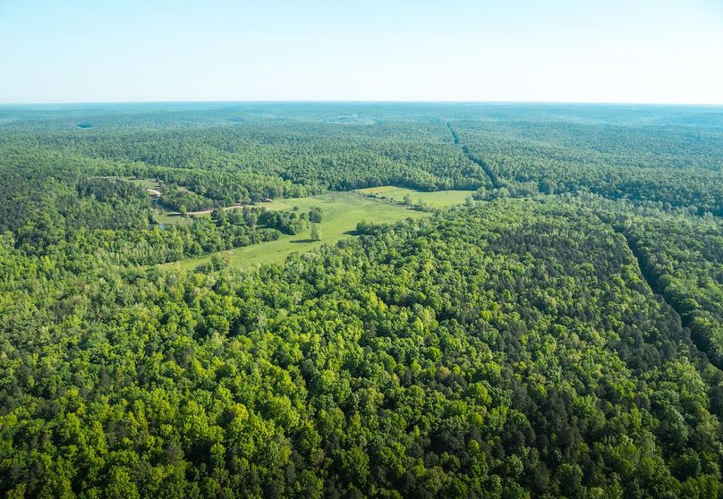 DJI_20250506090509_0176_D