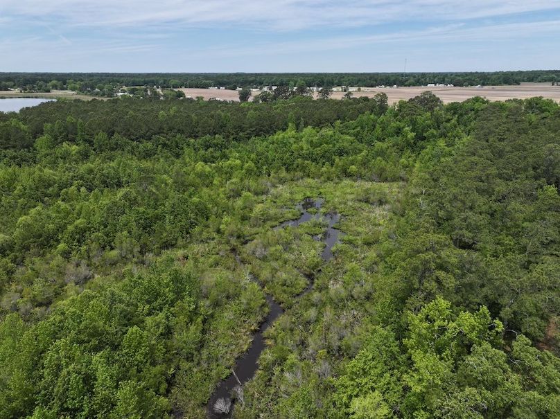 DJI_20250427122959_0049_D