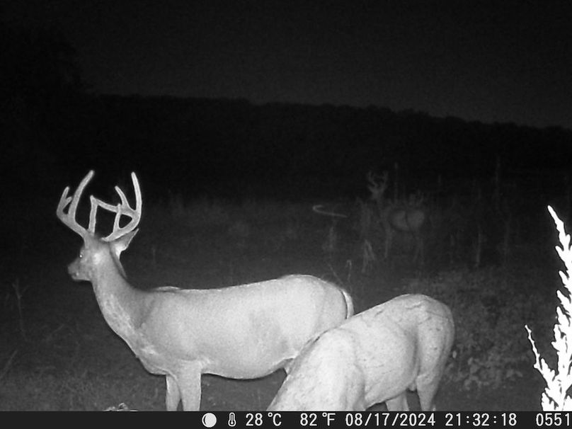 Trail Cam 7