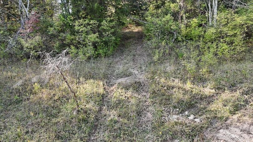 DJI_20251002170541_0387_D