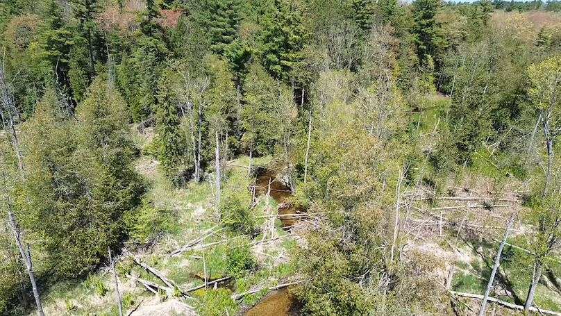 2024-05-15-13-55-03-383