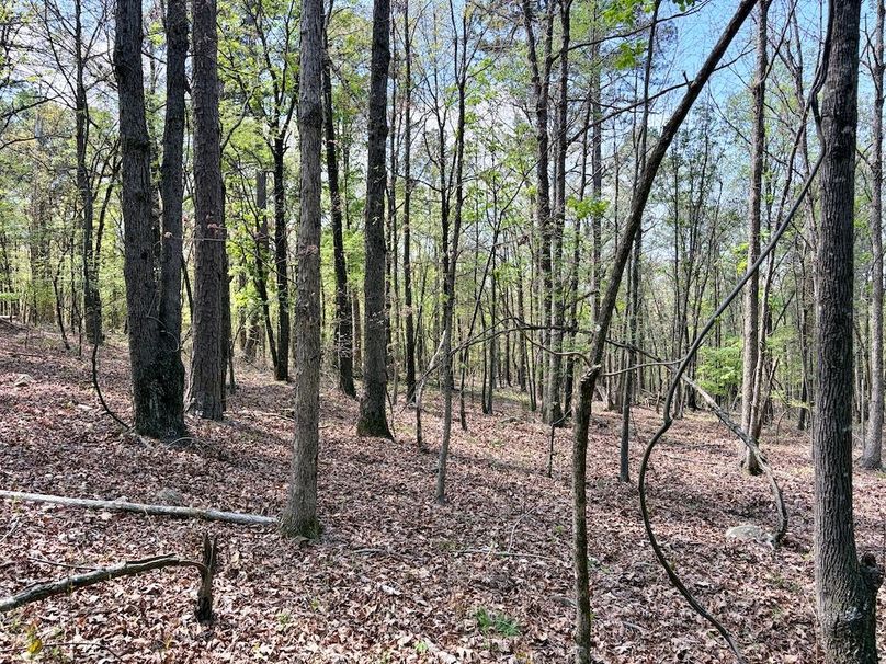 E4C0DEDE-2C81-4102-95BC-A7ED30EED85B_1_201_a