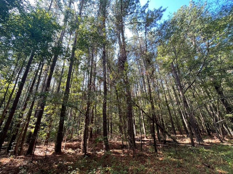 DAEB715B-8AA4-41CA-9619-9FF0B206524A_1_105_c