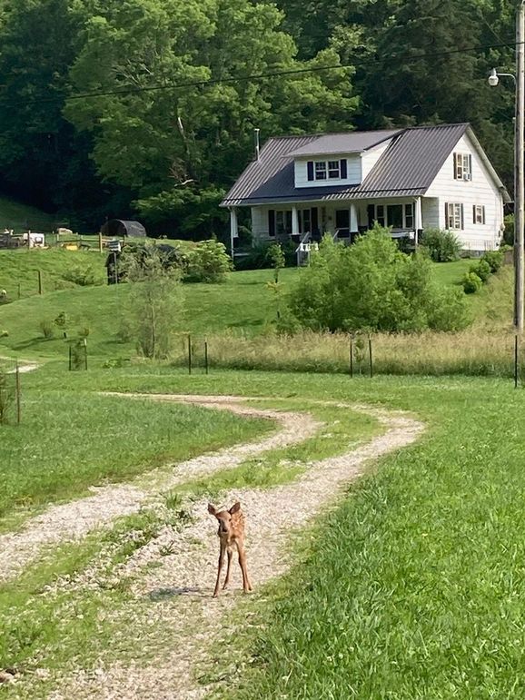 075 spring time and wobbly legs