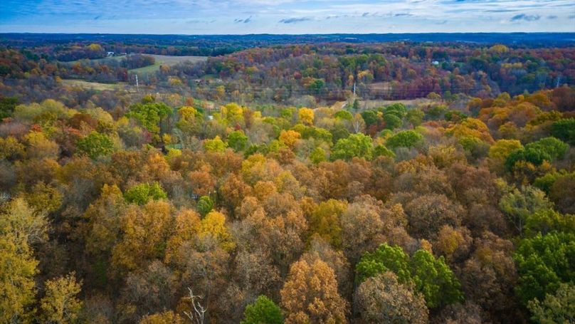 22-zj 31961 Township Rd 381017