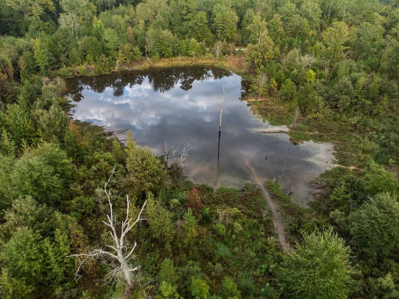 17 Edited Harison co. 206 - Ed Robb-110